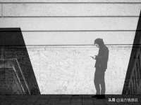 无锡市立青花卉有限责任公司