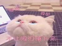 无锡市立青花卉有限责任公司