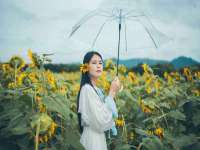 无锡市立青花卉有限责任公司