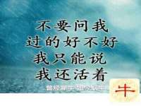 无锡市立青花卉有限责任公司