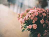 无锡市立青花卉有限责任公司