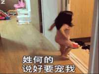 无锡市立青花卉有限责任公司