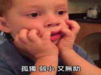 无锡市立青花卉有限责任公司