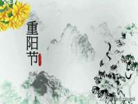 无锡市立青花卉有限责任公司