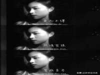 无锡市立青花卉有限责任公司