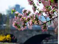 无锡市立青花卉有限责任公司