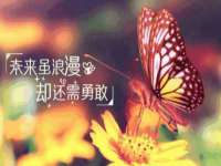 无锡市立青花卉有限责任公司