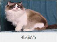 无锡市立青花卉有限责任公司