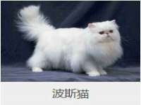 无锡市立青花卉有限责任公司