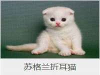 无锡市立青花卉有限责任公司