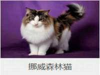 无锡市立青花卉有限责任公司