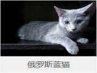 无锡市立青花卉有限责任公司