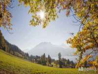 无锡市立青花卉有限责任公司