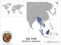 无锡市立青花卉有限责任公司