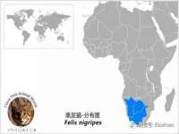 无锡市立青花卉有限责任公司