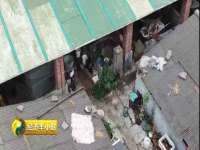 无锡市立青花卉有限责任公司