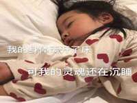 无锡市立青花卉有限责任公司