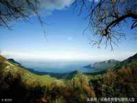 无锡市立青花卉有限责任公司