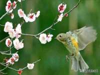 无锡市立青花卉有限责任公司