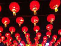 无锡市立青花卉有限责任公司