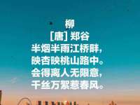 无锡市立青花卉有限责任公司