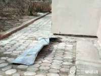 无锡市立青花卉有限责任公司