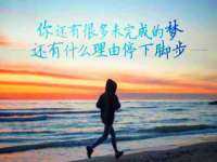 无锡市立青花卉有限责任公司