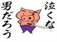 无锡市立青花卉有限责任公司