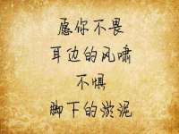 无锡市立青花卉有限责任公司