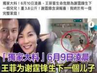无锡市立青花卉有限责任公司