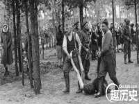 无锡市立青花卉有限责任公司