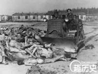 无锡市立青花卉有限责任公司