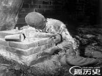 无锡市立青花卉有限责任公司