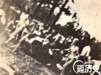 无锡市立青花卉有限责任公司