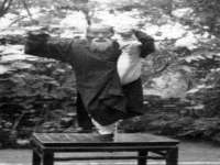 无锡市立青花卉有限责任公司
