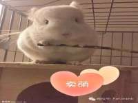 无锡市立青花卉有限责任公司