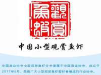 无锡市立青花卉有限责任公司
