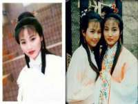 无锡市立青花卉有限责任公司