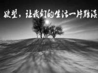 无锡市立青花卉有限责任公司