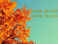 无锡市立青花卉有限责任公司