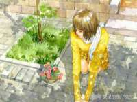无锡市立青花卉有限责任公司