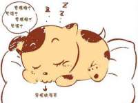 无锡市立青花卉有限责任公司