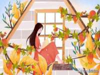 无锡市立青花卉有限责任公司