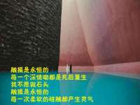 无锡市立青花卉有限责任公司