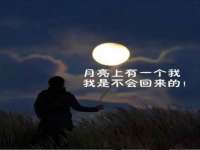 无锡市立青花卉有限责任公司