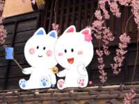 无锡市立青花卉有限责任公司