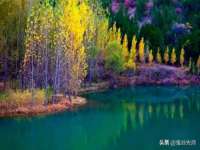 无锡市立青花卉有限责任公司