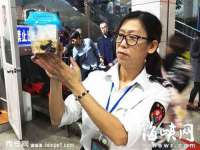 无锡市立青花卉有限责任公司