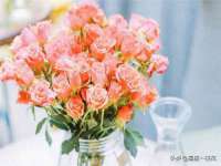 无锡市立青花卉有限责任公司