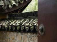 无锡市立青花卉有限责任公司